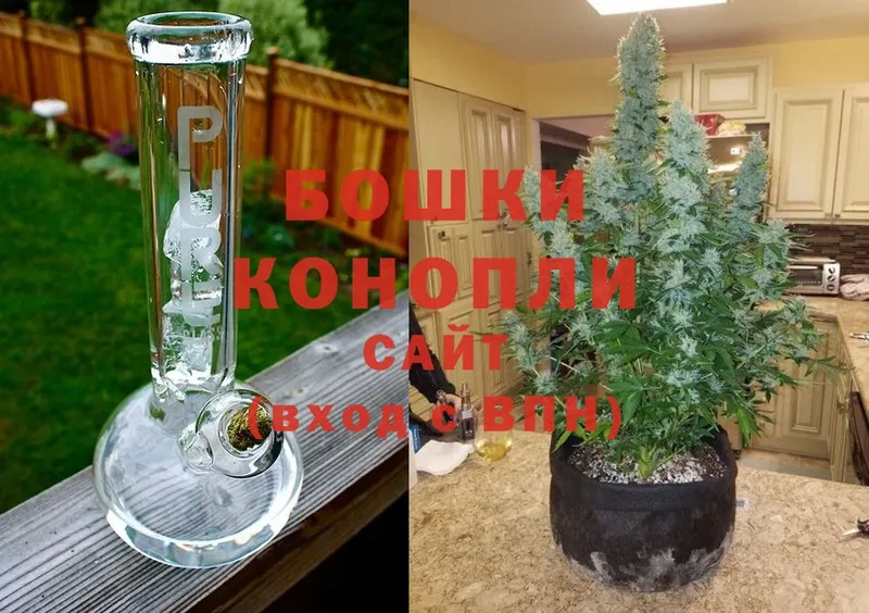 Каннабис White Widow  купить наркотики сайты  Алейск 